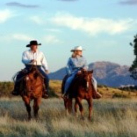 Meet your Posher, Susan - Picture 3 of 4